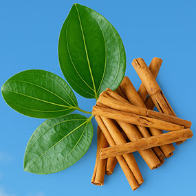 Herbs and Spices