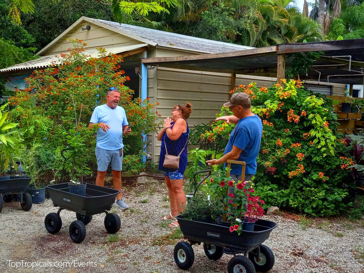 Top Tropicals Summer Plant Market Extravaganza