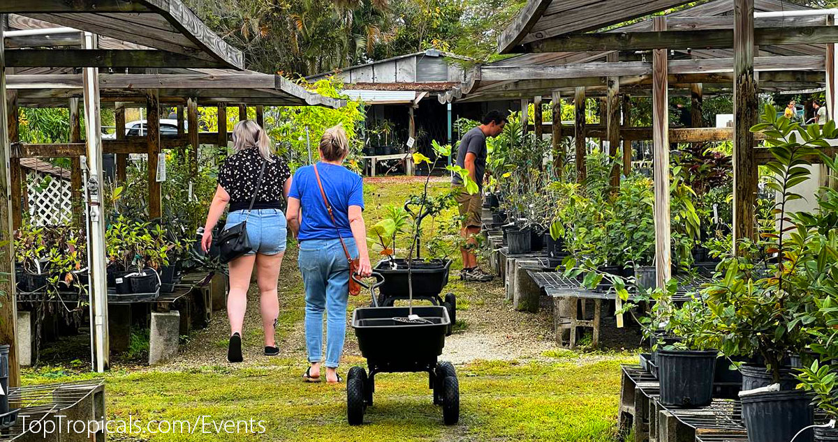 Customers of Top Tropicals Plant Festival 