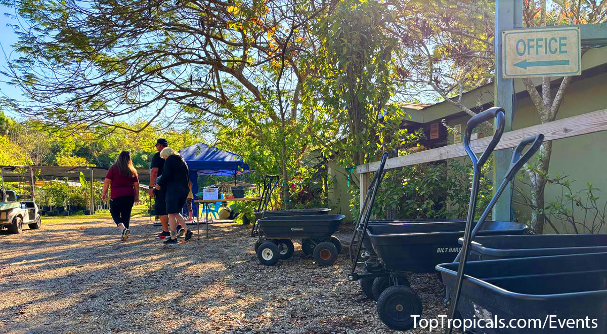 Top Tropicals Spring Plant Market