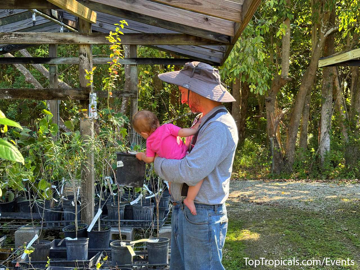 Top Tropicals Spring Plant Market